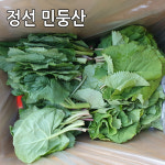 강원도 정선 민둥산 산나물 곰취나물 1kg 곰취 생곰취 : 싱싱마루