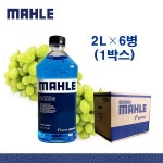 말레 아인스타 워셔액 2L X 6개 1박스 청포도향  에탄올 자동차 차량용 벤츠 BMW 아우디 폭스바겐 테슬라 전기차 현대 기아 수입차 전차종... 