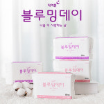 디어문 블루밍데이 프레쉬 울트라슬림 중형 대형 안전한 생리대 세트 : 하우리브