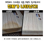 수원/용인/화성/동탄 매트리스청소 침대청소 침대토피아 : 침대토피아