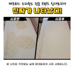 수원/용인/화성/동탄 매트리스청소 침대청소 침대토피아 : 침대토피아