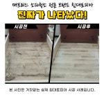 수원/용인/화성/동탄 매트리스청소 침대청소 침대토피아 : 침대토피아