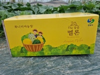 머스크 멜론 5kg(3수~4수) : 화니미야농장