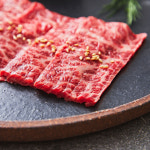 투뿔 넘버9 마장동 한우 뭉티기 육사시미 생고기 250g [극진한우] : 극진한우