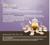 카네이션 꽃차 꽃피는차 녹차 16호 : 혼모샵