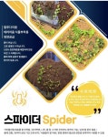 붙이는 흙 스파이더 소일 붙는흙 비라리움 석부작 목부작 다육아트 테라리움 : 테라리움 디자인