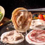 캠핑음식 국내산 돼지고기 프리미엄 한돈 꽃삼겹 대패 삼겹살 냉삼 500g : 백년밥상