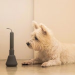 강아지 고양이 염증치료기 귀염증 외이염 중이염 귓병 발염증 예방 제디 UV펫큐어라이트 : 네이처블