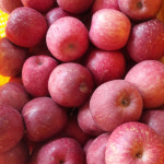 경북 영주 소백산 맛있는 사과즙 사과100% : 소백산큰골농원