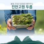 요셉농장 진안고원 두릅 1kg 봄 제철 채소 국내산 청정 고랭지 이기석 농부 : 진안고원몰