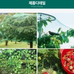 비둘기 조류 새 참새 그물망 퇴치 논밭 과수원 농장 비둘기가싫어하는것 : 우리쇼핑하자