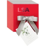 LSA FW27 미니 투명 유리 수제 화병 꽃병 9.5cm : Ulove