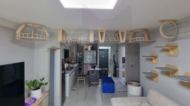 캣워커 고양이 벽타워 선반 숨숨집 구름다리 원목 놀이터 인테리어 아산 아파트 거실 패키지 : 플레이캣