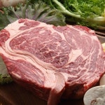 저 지방 사료 강아지 곤충 밀웜 사료 미니 비숑 토이 푸들 1kg : 댕그래