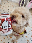 트릿테이블 멍콜라 캔 : 뭉무이맘마