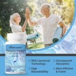 리포조말 피세틴 퀘르세틴 1200mg 2통 : 핫구