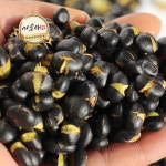 [가온애] 대용량 볶은 서리태콩 5kg / 볶은서리태 볶은콩 검은콩 검정콩 대두콩 볶은대두 업소용 다과류 : 가온애