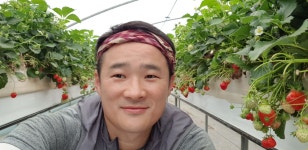 농부가 직접판매하는 논산 휘파람딸기농장 비타베리 딸기 택배 800g : 휘파람딸기농장