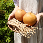 국내산 아이누리 한의원 아기 배도라지차 도라지차 : 바라스토어