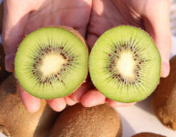 제스프리 그린키위 참다래 20과 : 파인더키친