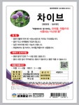 차이브 허브 씨앗 400립 : 씨앗월드