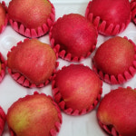 하늘아래첫사과(홍로) : 하늘아래첫사과