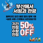 6 [부산관광지 50%반값판매]  블루라인파크열차왕복이용권+송정서핑강습권 : 슬기로운여행생활