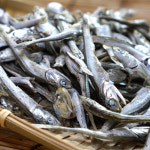 지리 가이리 고바 주바 다시 멸치 디포리 1.5kg 밴댕이 잔멸치 볶음멸치 특 : 백송식품