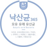 낙산균 유산균 단쇄지방산 150g : 친친약사