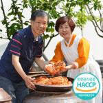 새벽팜 포기 배추 김치 2kg 2023년 김치품평회 대상 국산 전라도 참매실 : 새벽팜