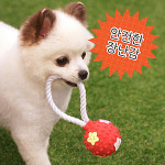 패리스독 로프스타 라텍스토이 (색상랜덤) : 시츄미아