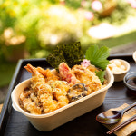 사각호환M 1칸 1000ml 타원형 펄프 용기 50개 : 아이엠그리너