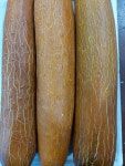 당일경매 노각 (즙용) (무침용) (10kg) : 우리엄마 야채