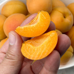 영천 살구 만금살구 1kg : 백미양식