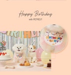 강아지 고양이 가랜드 생일파티 생일 홈파티 세트 : 캐츠랑