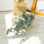 베이직 유칼립투스 2c, 조화 드라이플라워 유칼리 : 감성소품 둔떼