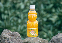 제주향 제주 천혜향 주스 한라봉 쥬스 착즙 감귤 주스 제주도 동문시장 택배 : 찐제주