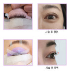 엘유롯드 속눈썹 펌 롯드 LU 컬 민트롯드 : 뷰티팡스토어