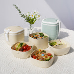 캔디 피크닉 도시락통 2단 나들이 소풍 도시락 : 플라팜