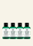 [더바디샵] 티트리 토너 60ML 4개 세트 (240ML 용량) : 디큐브백화점