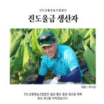 진도 울금 강황 과립 수용성 커큐민 스틱 : 뚜두리빙