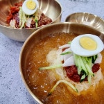 비비바바 부산밀면 맛집 물밀면 비빔밀면 1셋트(2인분) : 비비바바 BIBIBABA
