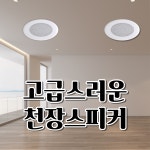 업소용스피커 천장 매립형 30W 매장용 스피커 카페 오디오 국산스피커 : 연합사운드