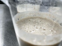 천연발효우리통밀빵 : 농가빵