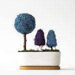 스칸디아모스 실내공기정화식물 천연이끼 플랜테리어 포레스트 나무화분 : DH프리마