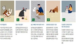 미끄럼 방지 한솔펫마루/ 베이크오크 W143 x L1205 x 6T 1평 18매[1박스] : 공간디자인맞춤