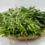 친환경 공심채 무농약 1kg 농장직송 : 익산시 마을전자상거래지원단
