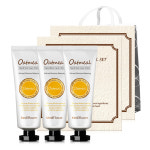 메디플라워 오트밀 핸드크림 80g 3종세트+쇼핑백 (1+1/5+1) : 메디플라워