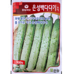 은성 백다다기오이씨앗 500립 흥농씨앗 백다다기 가드닝 웰빙 텃밭 주말농장 : 에코그린스토어