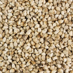 국산 홍화씨 홍아씨 250g : 오허브 마트